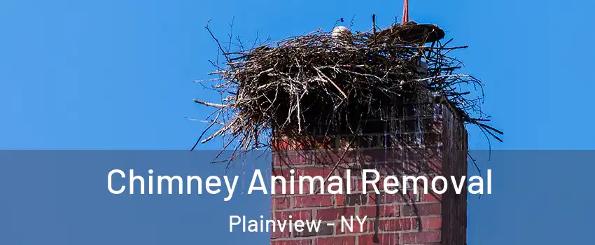 Chimney Animal Removal Plainview - NY