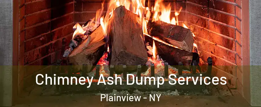  Chimney Ash Dump Services Plainview - NY