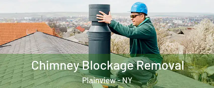  Chimney Blockage Removal Plainview - NY