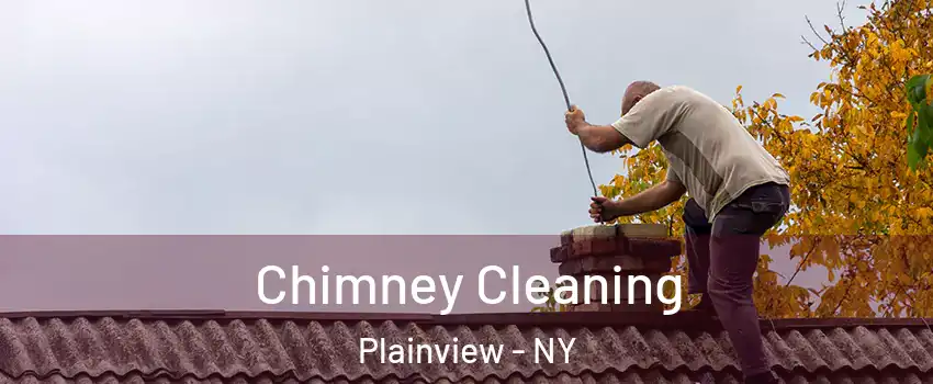  Chimney Cleaning Plainview - NY