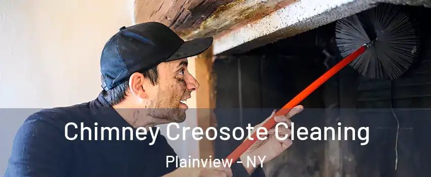  Chimney Creosote Cleaning Plainview - NY