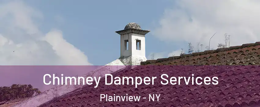  Chimney Damper Services Plainview - NY