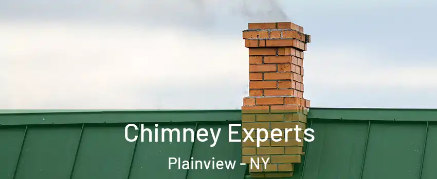 Chimney Experts Plainview - NY