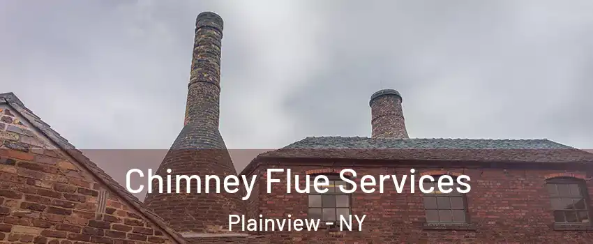  Chimney Flue Services Plainview - NY