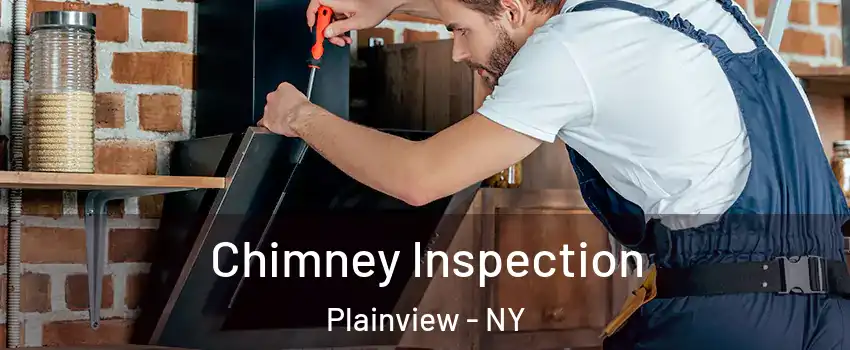  Chimney Inspection Plainview - NY