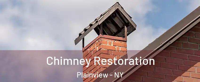  Chimney Restoration Plainview - NY