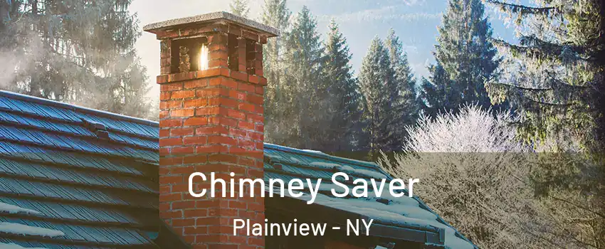  Chimney Saver Plainview - NY