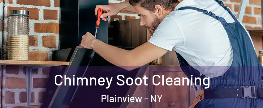  Chimney Soot Cleaning Plainview - NY