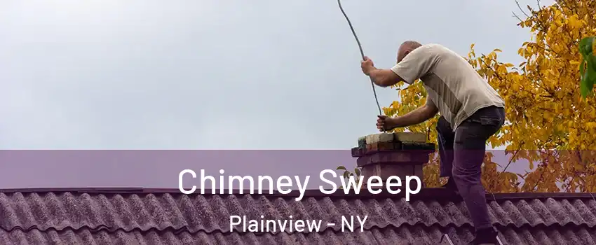  Chimney Sweep Plainview - NY