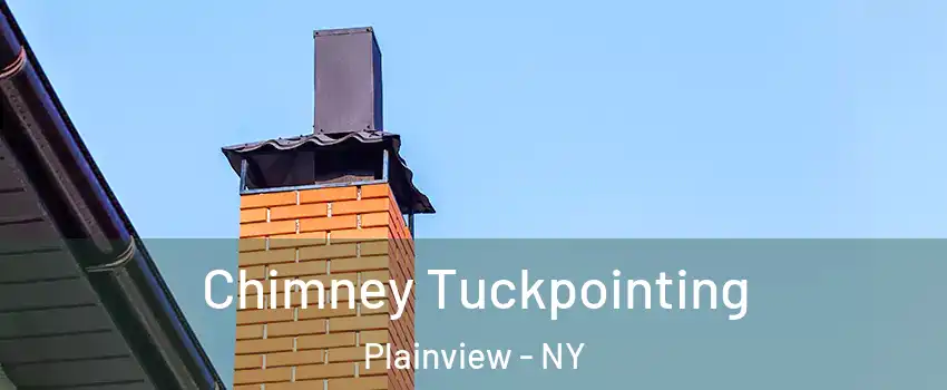  Chimney Tuckpointing Plainview - NY