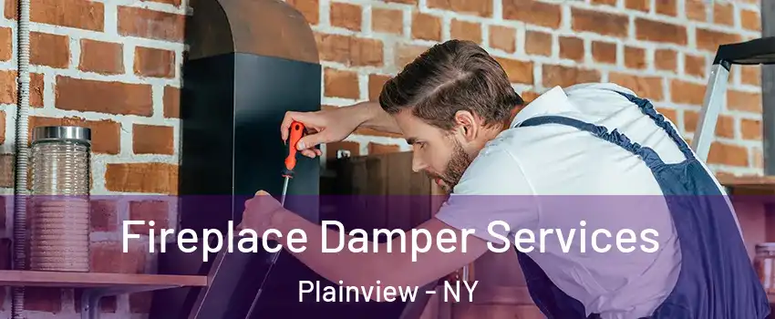  Fireplace Damper Services Plainview - NY
