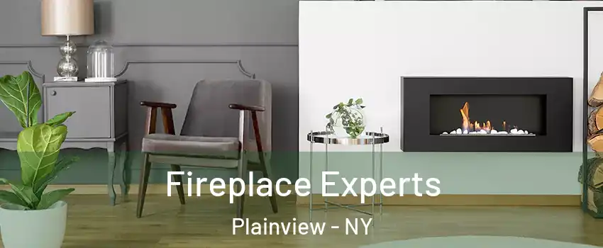  Fireplace Experts Plainview - NY