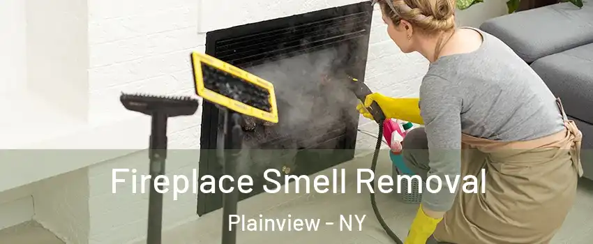  Fireplace Smell Removal Plainview - NY