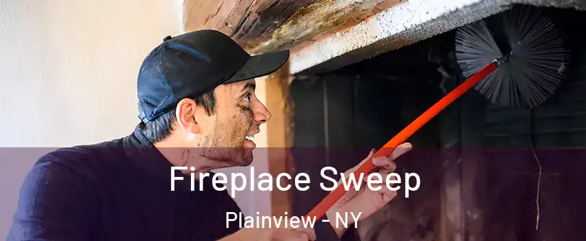 Fireplace Sweep Plainview - NY