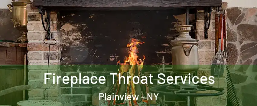  Fireplace Throat Services Plainview - NY