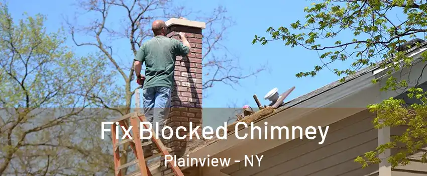  Fix Blocked Chimney Plainview - NY