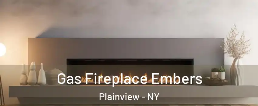  Gas Fireplace Embers Plainview - NY