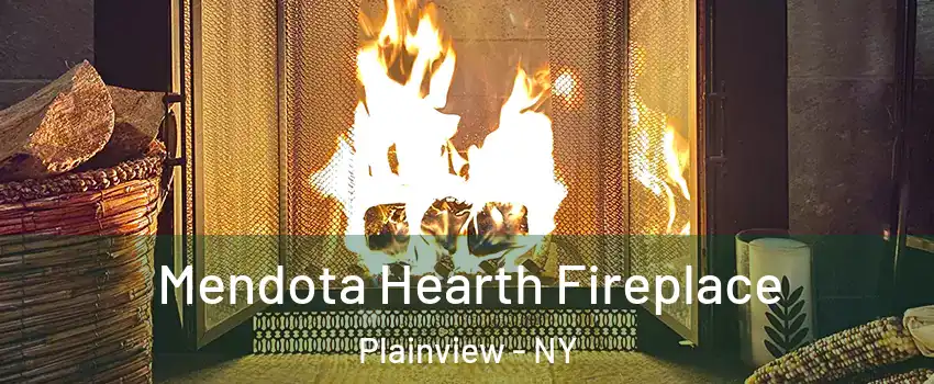  Mendota Hearth Fireplace Plainview - NY