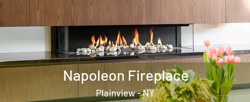  Napoleon Fireplace Plainview - NY