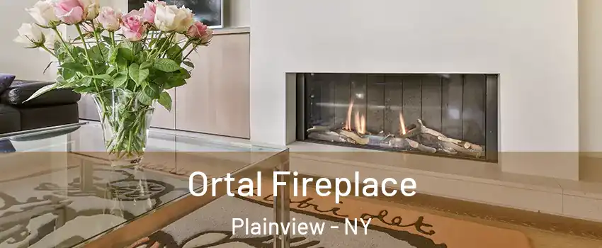 Ortal Fireplace Plainview - NY